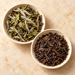 Tea specialties category icon/image